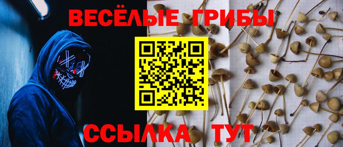 Псилоцибиновые грибы мухоморы  Вход с VPN  Красноперекопск 