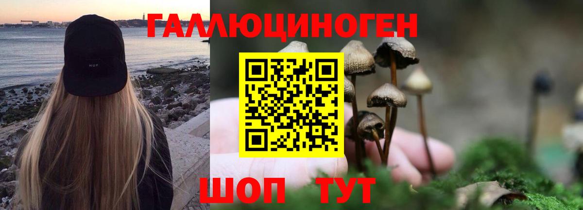 Псилоцибиновые грибы Cubensis Красноперекопск